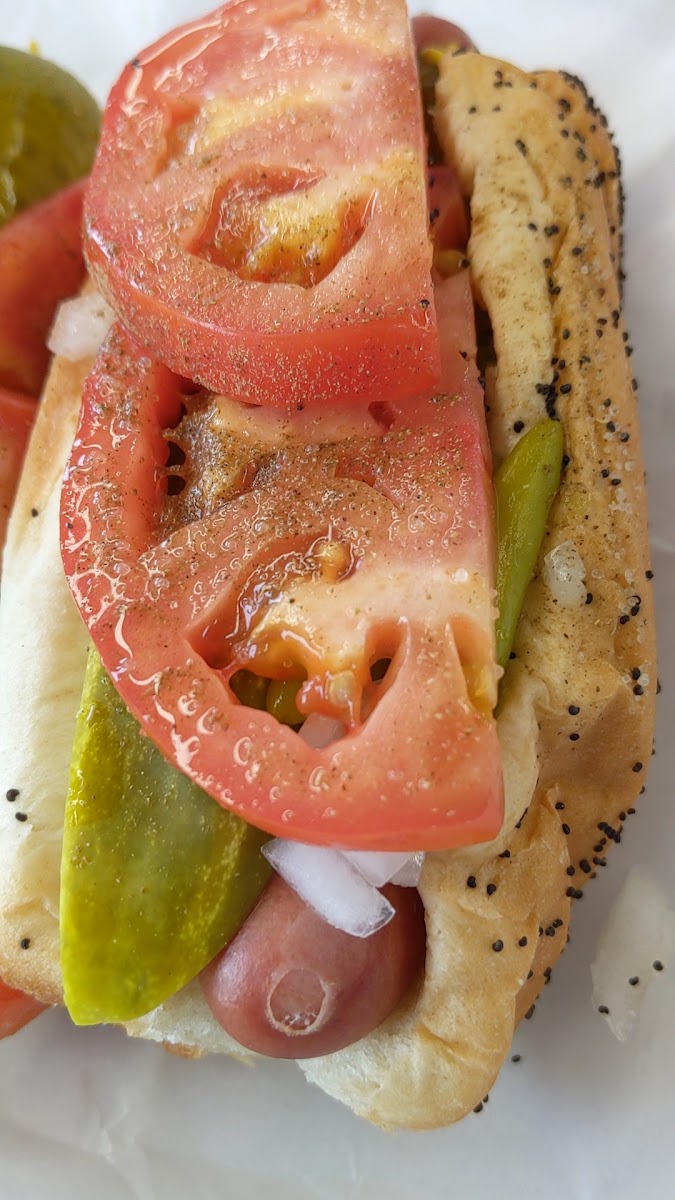 Slide Background Image